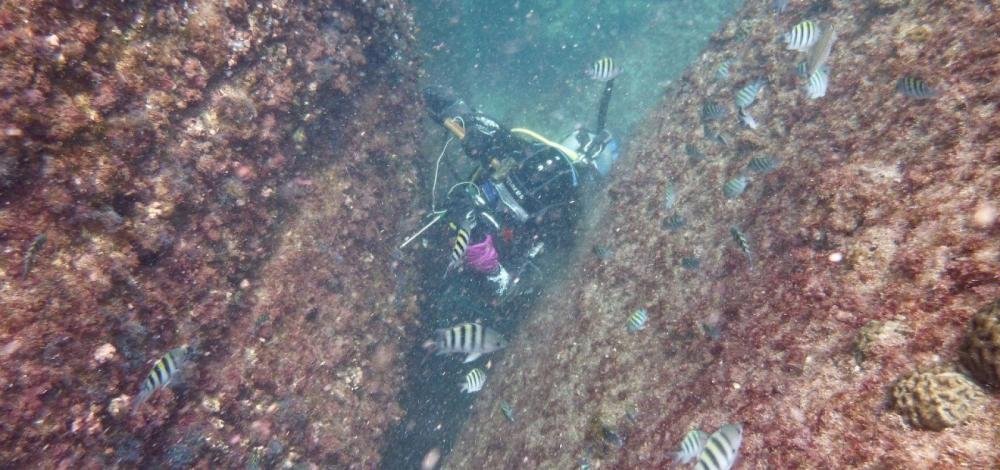 MPF investiga crime ambiental após fundeio de plataforma na Baía de Todos-os-Santos