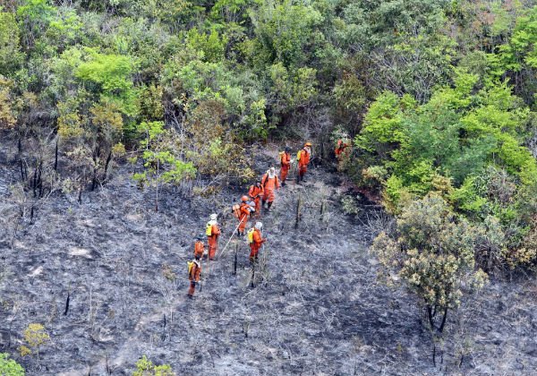 Incêndios florestais em Rio de Contas e Livramento são controlados