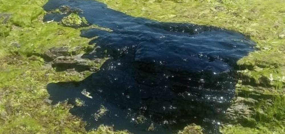 Mulher apresenta coceira e bolhas no corpo após banho de mar na Ilha de Itaparica