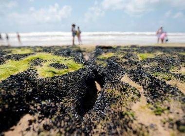Locais atingidas por óleo no Nordeste e ES chega a 643; BA tem 170 pontos