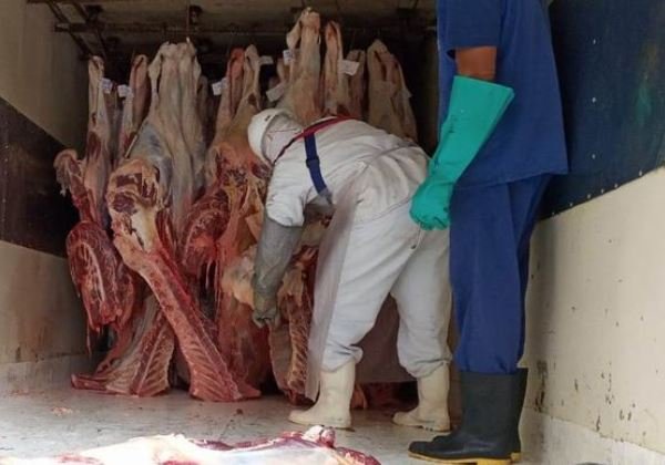 Governo intensifica ações contra abate clandestino de animais