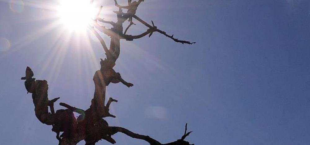 Governo homologa situação de emergência em Guanambi e Ibotirama