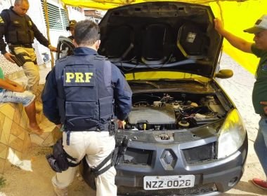 Operação prende 11 e apreende quase 300 animais silvestres na Bahia