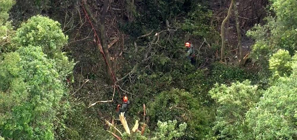 Avião de pequeno porte cai na Serra da Cantareira, em São Paulo