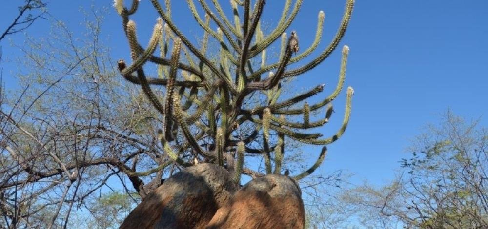 Governo reconhece situação de emergência em mais duas cidades baianas