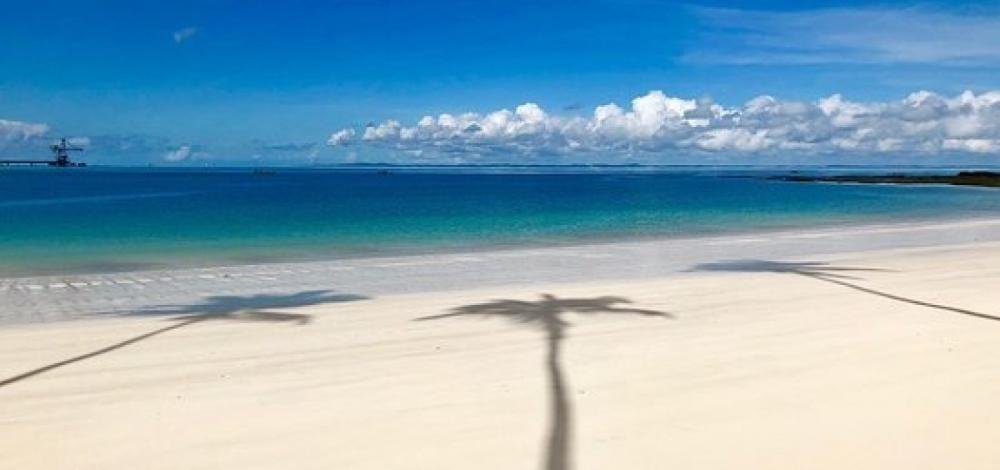 Bolsonaro vai passar Ano Novo com a família em Inema