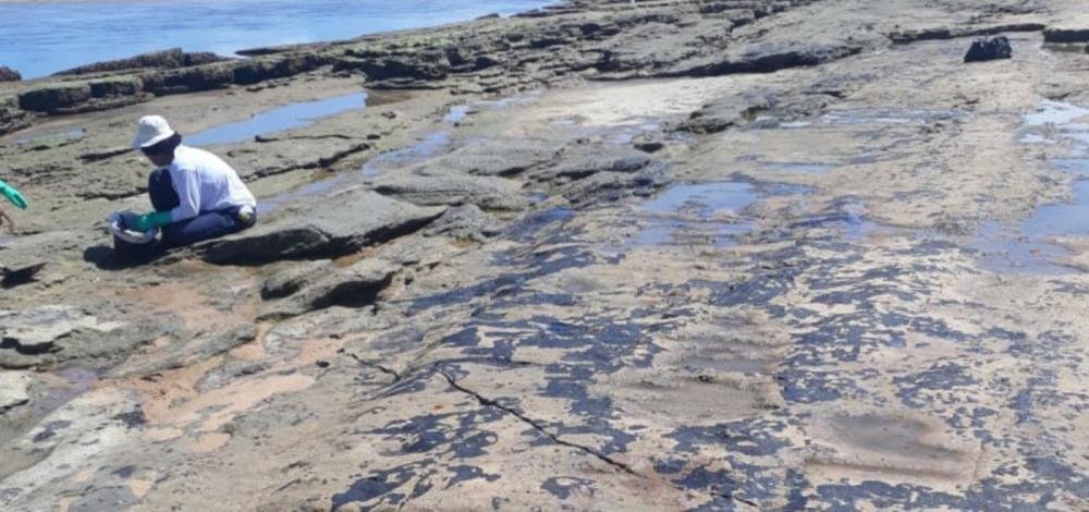 Novas manchas de óleo são removidas da praia de Subaúma