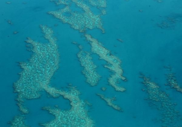 Ibama sabia que navio grego não havia derramado óleo