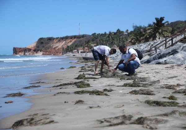 ‘Óleo invisível’ surpreende banhistas no Nordeste; caso é registrado na Bahia
