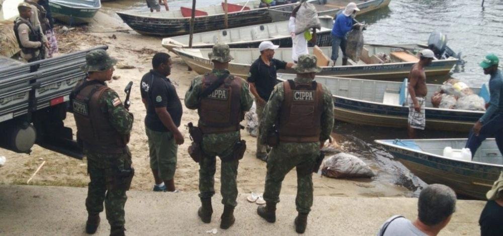 PM apreende 17 mil caranguejos no defeso, no sul da Bahia