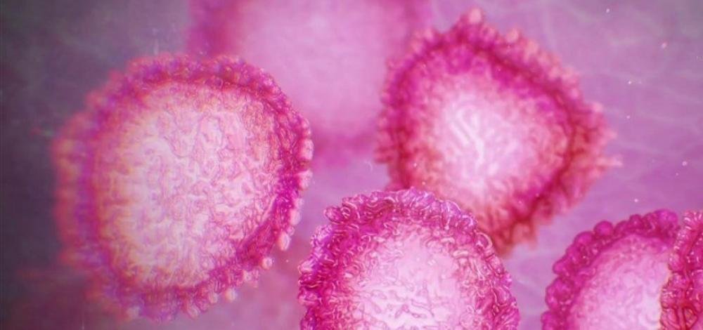 Novo coronavírus pode ter vindo de morcegos, indica pesquisa