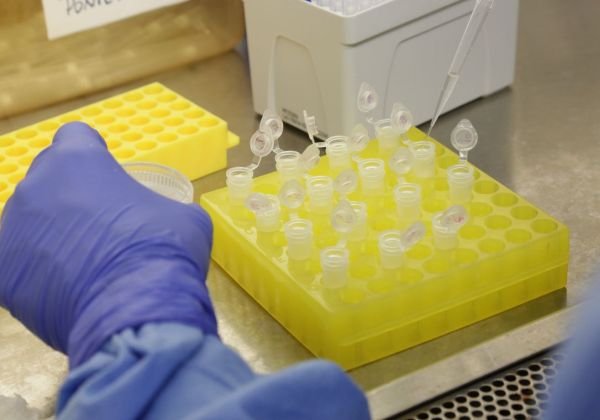 Sesab prepara plano de ação para atuar em casos de infecções por coronavírus