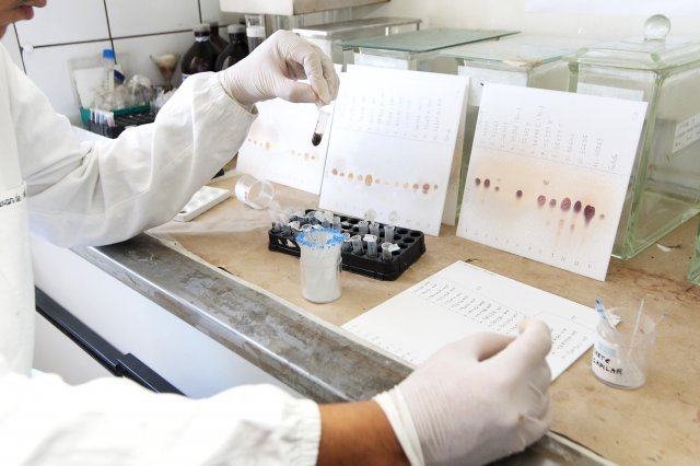 Pela primeira vez, DPT vai realizar teste rápido para identificar drogas sintéticas durante o Carnaval