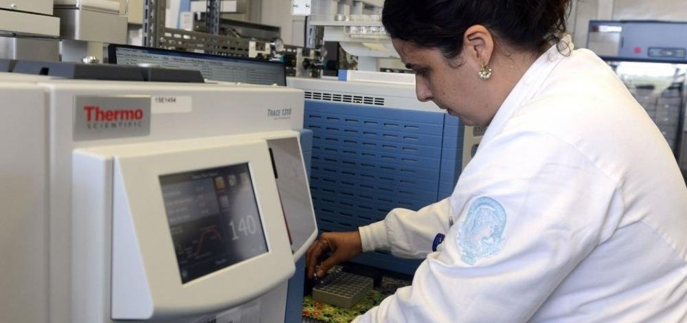 Corte de bolsas para pesquisas de pós-graduação foi maior no Nordeste