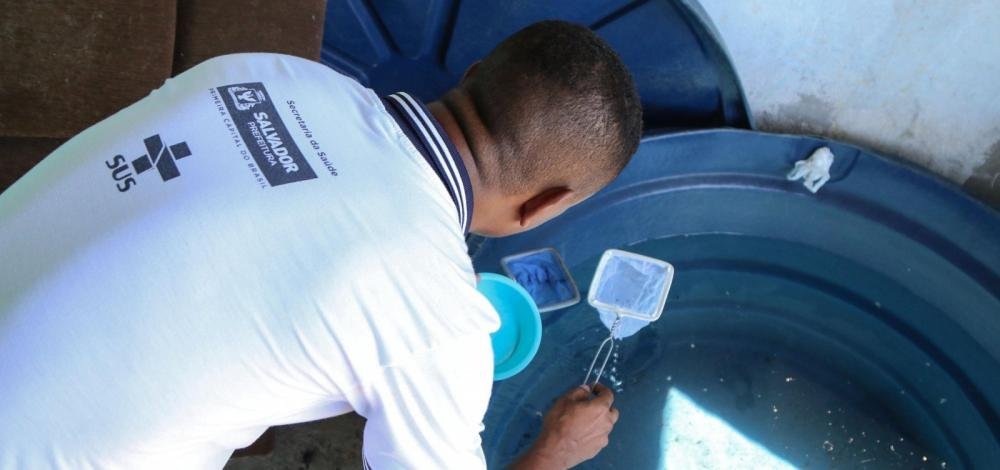 Bahia registra 65 infecções diárias de doenças transmitidas pelo Aedes aegypti