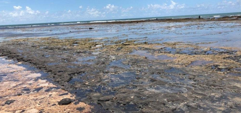 Óleo coletado por voluntários em Itacimirim volta ao mar após descaso de órgãos responsáveis