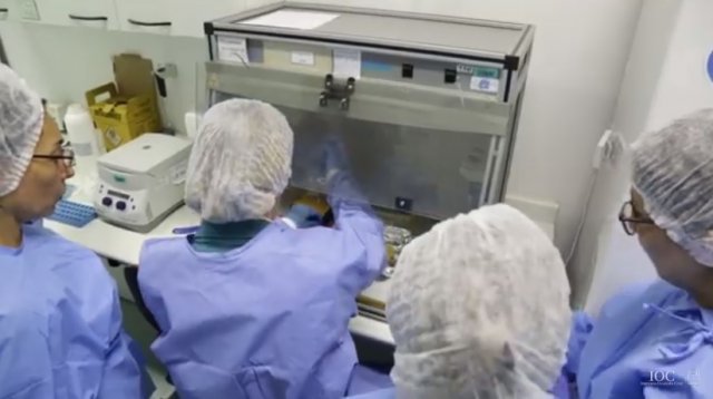 Publicada portaria que regulamenta medidas para enfrentar o Covid-19