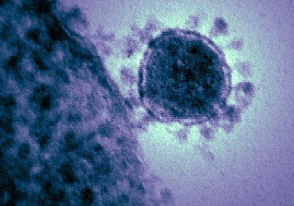 Sobe para 55 casos de coronavírus na Bahia