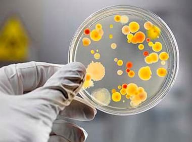 Sociedade Brasileira de Infectologia cita preocupação com fala de Bolsonaro