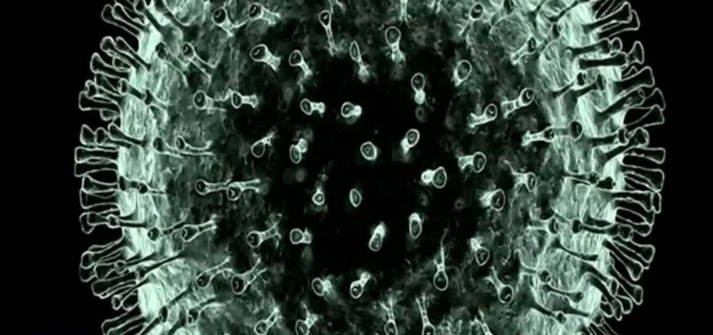 Sobe para 127 número de casos de coronavírus na Bahia