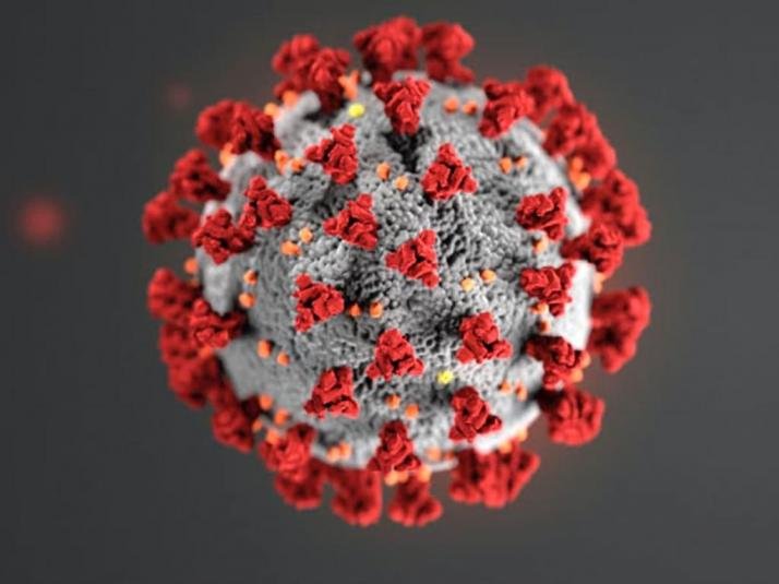 Bahia registra o primeiro caso de coronavírus em bebê menor de 1 ano de idade