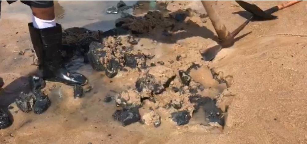 Manchas de óleo: estudo aponta que amostras de frutos do mar seguem contaminadas