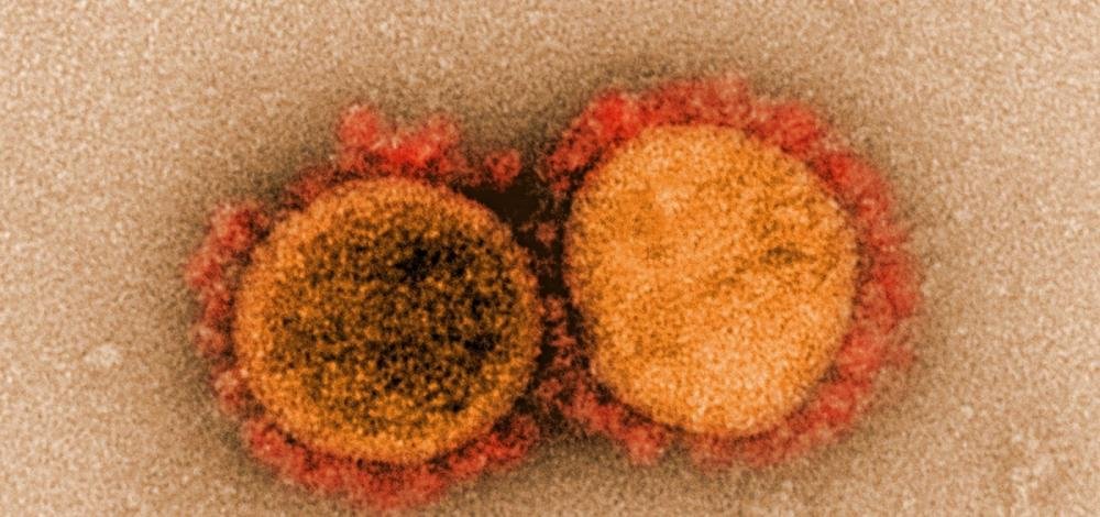 Bahia registra quarta morte por coronavírus; vítima tinha 79 anos