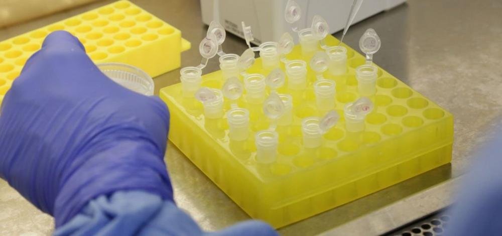 Coronavírus: Bahia registra 50 mortes e 1.644 casos