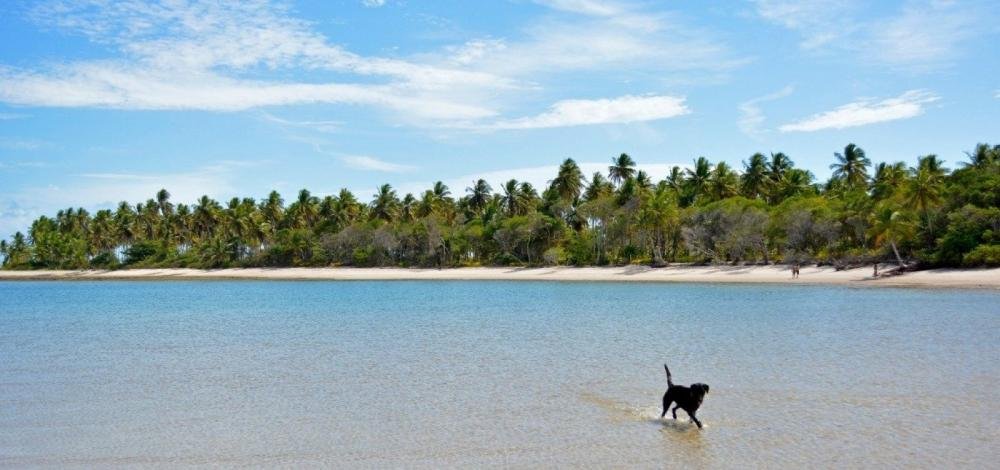 MPF recomenda suspensão de construção de resort em Boipeba, na Bahia 