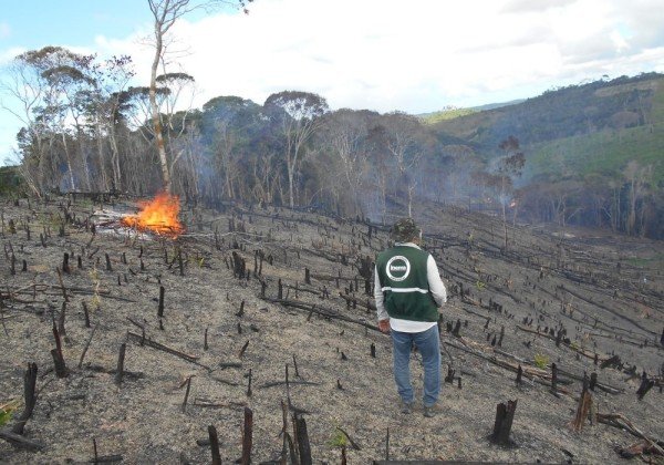 Operação do Inema desmatamento em seis municípios do Litoral Norte