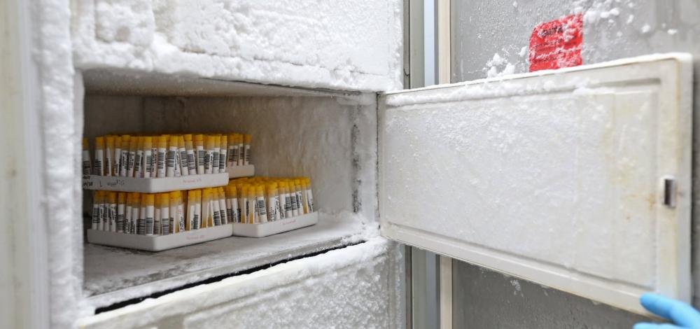 Sem novas mortes, Bahia registra mais 180 casos de Covid-19; total sobe para 3.495