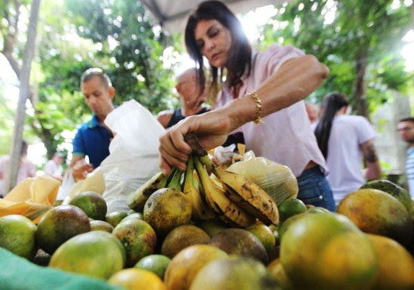 TJ-BA pagará quase R$ 62 mil em frutas para desembargadores