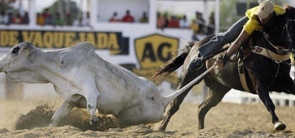 MP recomenda que Vaquejada de Biritinga não seja realizada