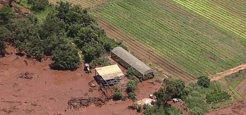 Quatro meses após tragédia de Brumadinho, investigados estão soltos e apurações continuam