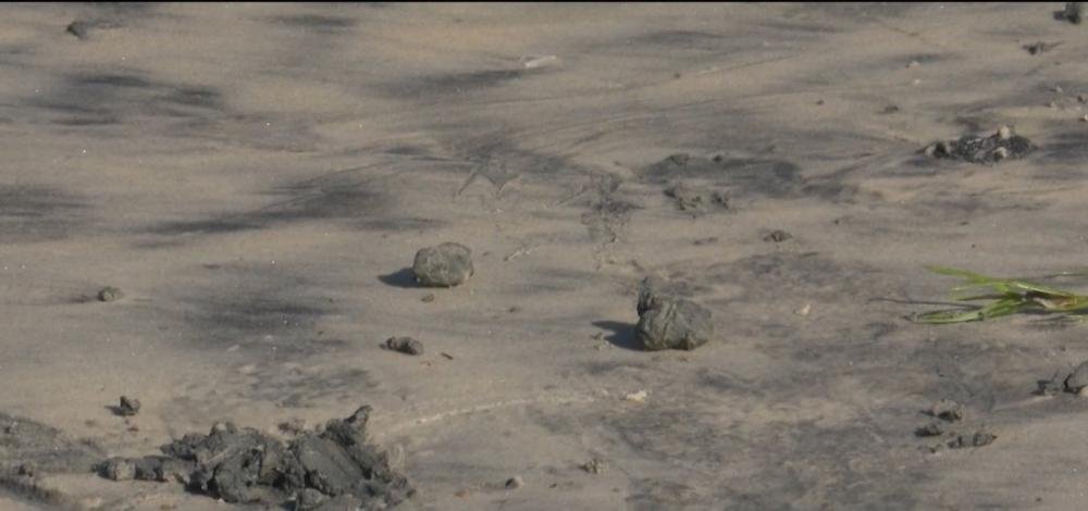 Substância não-identificada é encontrada em praia de Ilhéus