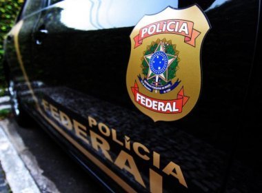 Operação Voo Livre flagra crimes ambientais e resgata 575 animais silvestres na região sul da Bahia