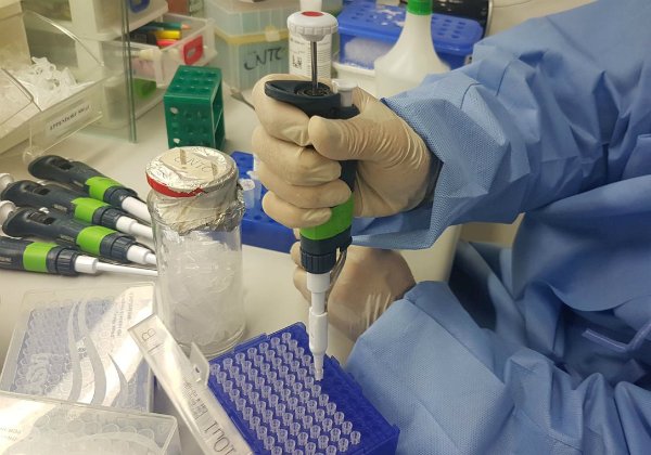 Bahia assina acordo de confidencialidade com a Rússia e quer testar efeitos da vacina no Brasil