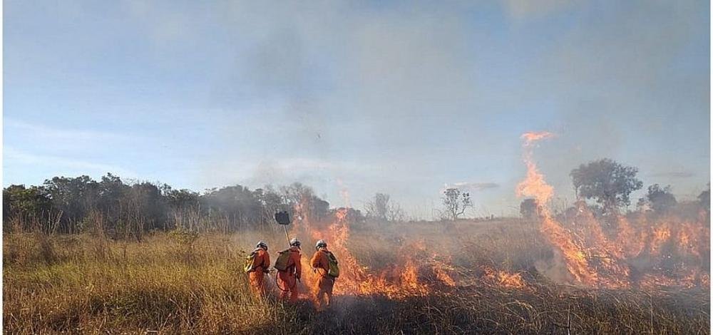 Bahia registra quase 3 mil focos de queima em 2020, diz Inpe