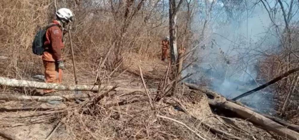 Bahia: combate ao incêndio em Barra completa 13 dias nesta segunda