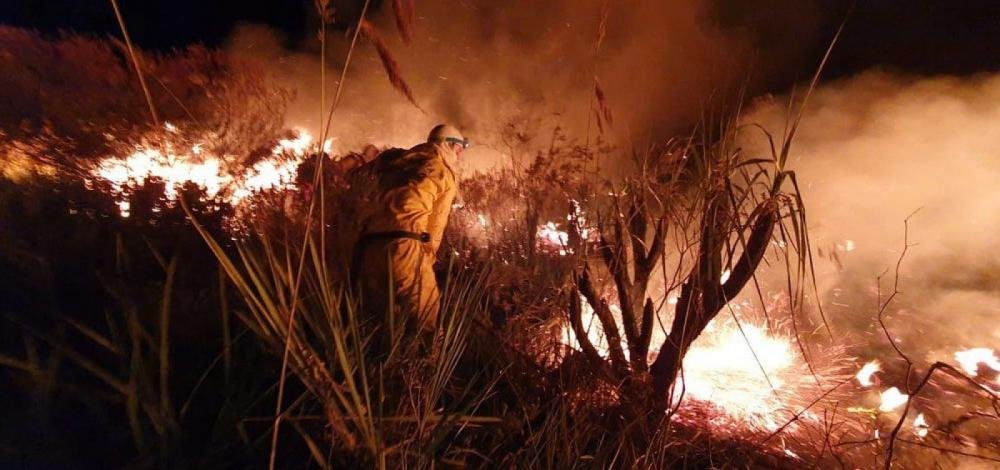 Fogo na Chapada Diamantina destrói 2 mil hectares do parque; veja como ajudar no combate