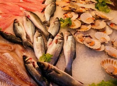 Bahia registra novos casos da doença de Haff e 80% das infecções tem relação com peixe