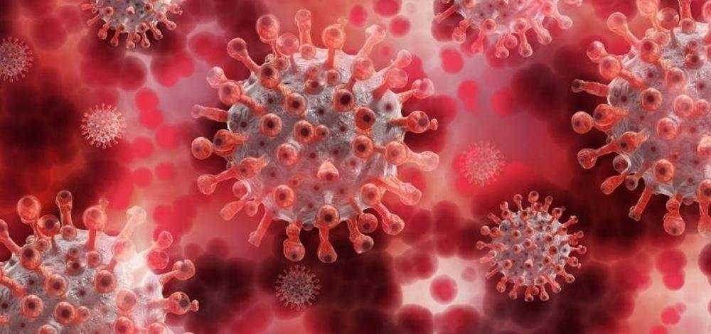 Primeiro registro de morte por Covid-19 completa um ano