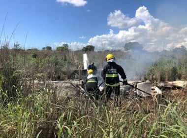 Manutenção de avião que caiu com atletas e dirigente do Palmas estava em dia, diz Anac