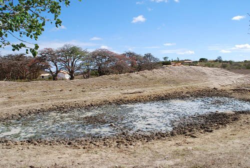Por estiagem em áreas rurais, prefeitura de Vitória da Conquista declara situação de emergência 